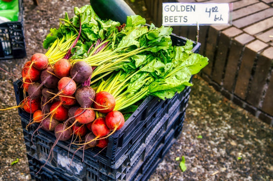 Does drinking beet juice actually help with implantation for embryo transfer?